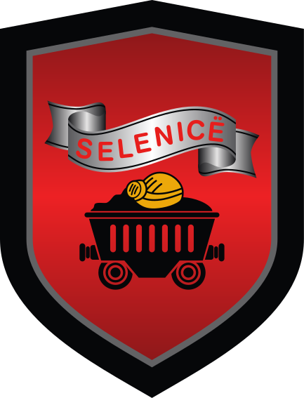 City of Selenica